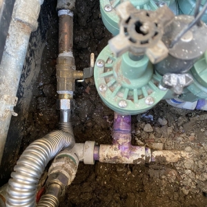 Photo of Red Tulip Plumbing
