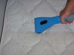 Photo of Mighty Kleen Carpet Services