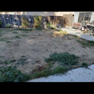 Photo of Bella Turf and Greens