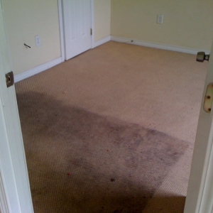 Photo of Certified Carpet Cleaning