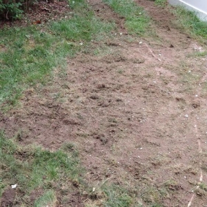 Photo of Turf Prep
