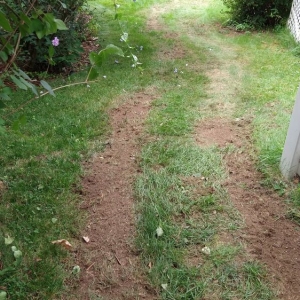 Photo of Turf Prep
