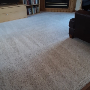 Photo of Cleanstarr Carpet Cleaning LLC