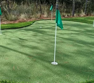 Photo of Holy City Synthetic Turf
