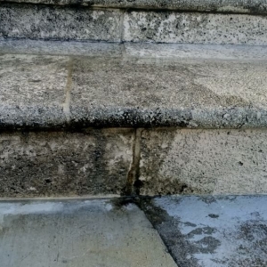 Photo of E A E Painting Services
