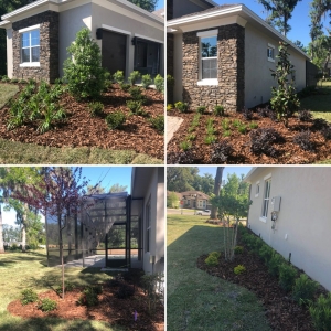 Photo of Ocala Landscape Management