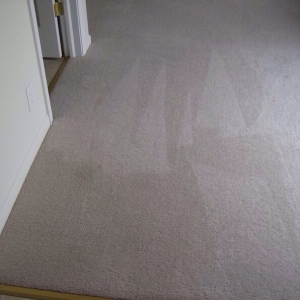 Photo of Genesis Cleaning Systems