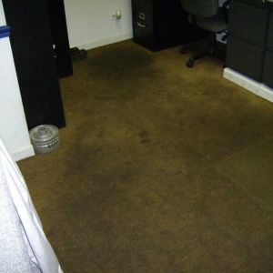 Photo of Genesis Cleaning Systems