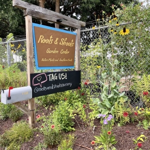 Photo of Roots and Shoots Nursery