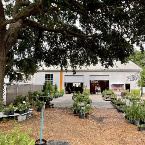 Photo of Roots and Shoots Nursery