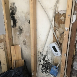 Photo of 1st Response Restoration