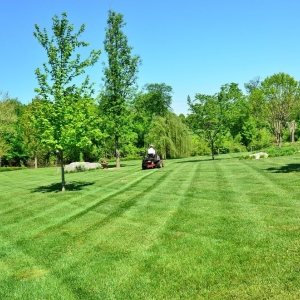 Longmont JMR Landscape