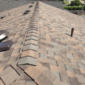 Monroe Gallardo Roofing