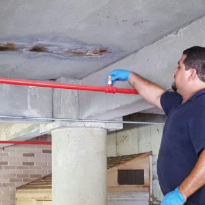 Photo of Star Fire Sprinkler