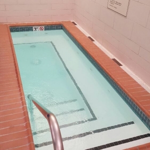 Photo of Imperial Aquatics