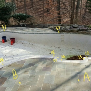 Photo of Imperial Aquatics