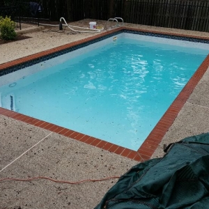 Photo of Imperial Aquatics