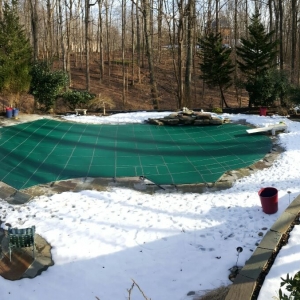 Photo of Imperial Aquatics