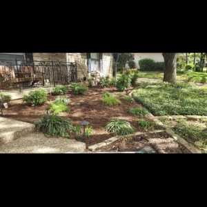 Photo of Mata Lawncare & Fencing