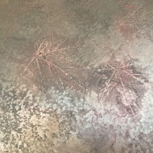 Photo of Julie Art