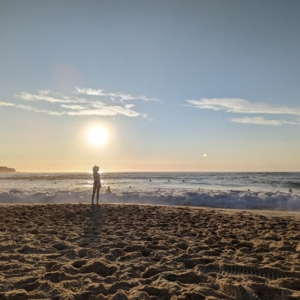 Photo of ADHD Life Coaching