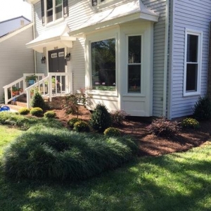 Photo of Lawn and Order Landscaping