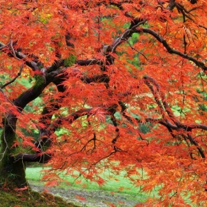 Photo of Touchstone Landscape Management