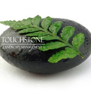Photo of Touchstone Landscape Management