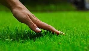 Photo of Touchstone Landscape Management