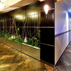 Photo of Holiday Inn Express & Suites Dallas South - Desoto