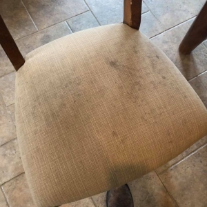 Photo of Magnolia Carpet Cleaning