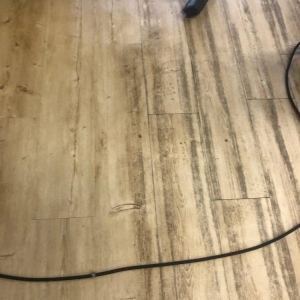 Photo of Magnolia Carpet Cleaning