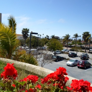 Photo of Pacific Legacy Property Management