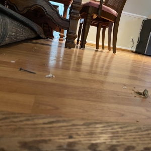Virginia Beach A & B Floors