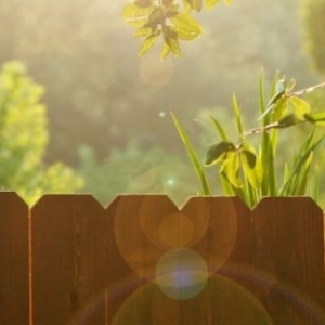 Photo of Globe Fence and Railings