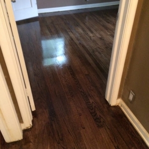 Photo of Panda Hardwood Flooring
