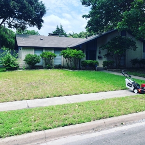 Dallas Trees Landscaping
