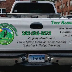 Photo of Professional Master Landscaping