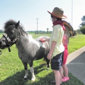 Photo of Beach Party Ponies & Barnyard Petting Zoo