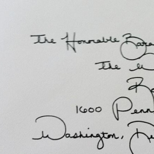 Photo of Elegant Scribbles