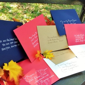 Photo of Elegant Scribbles