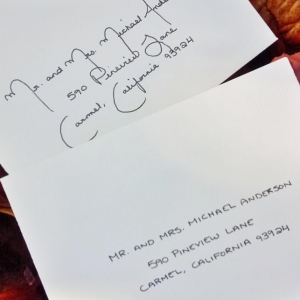 Photo of Elegant Scribbles