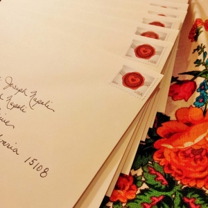 Photo of Elegant Scribbles