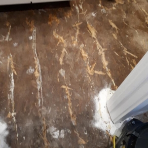 Photo of A1 Water Damage Restorations