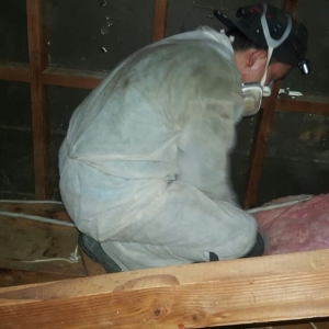Photo of SOS ATTIC