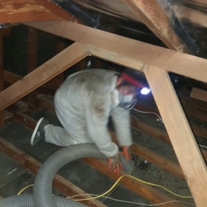 Photo of SOS ATTIC