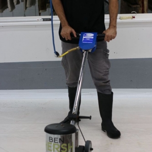 Photo of NEO Carpet Cleaning