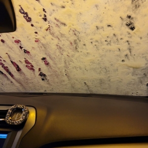 Photo of Moo Moo Express Car Wash - Polaris Parkway