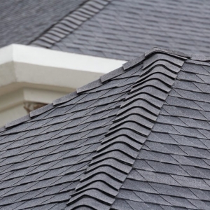 Photo of Lasting Roofs
