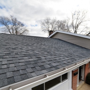 Photo of Lasting Roofs